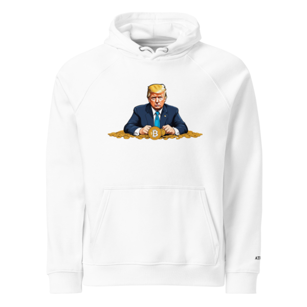 Unisex eco raglan hoodie DT